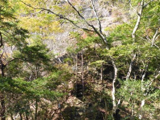 画像9