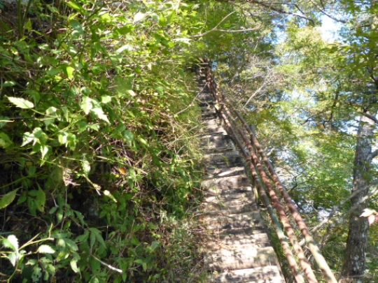 画像10