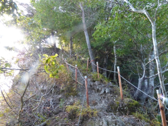 画像11