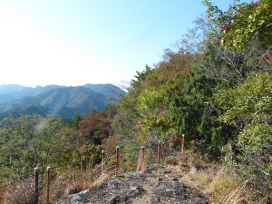 画像13