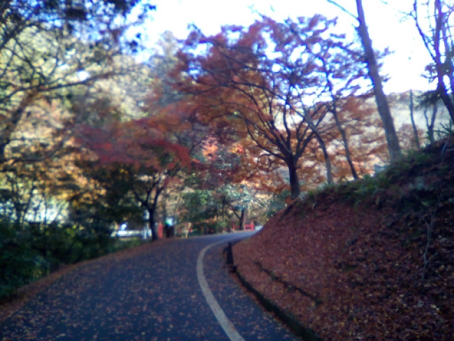 画像6