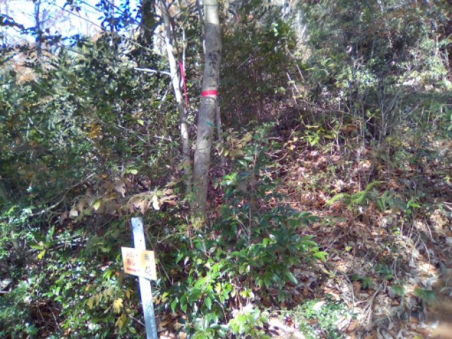 石原登山口