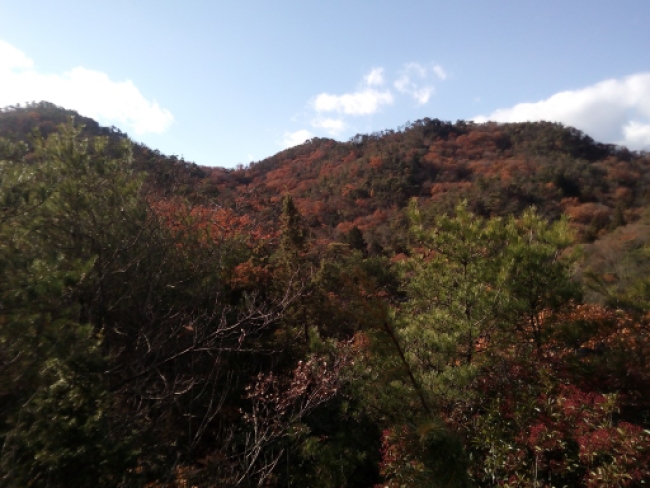 画像17