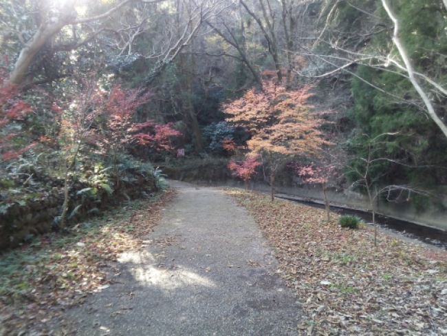 大脇登山口