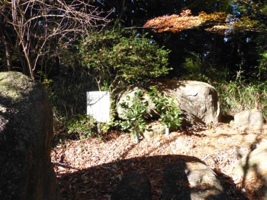 画像6