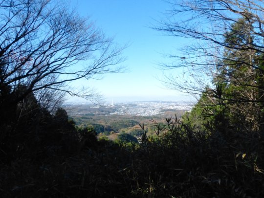 物見山