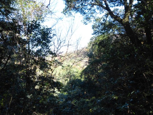 画像11