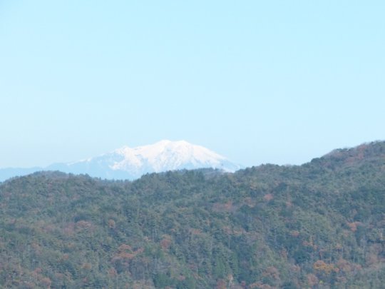 画像14