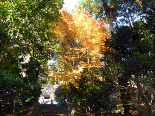 画像38