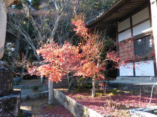 雲興寺