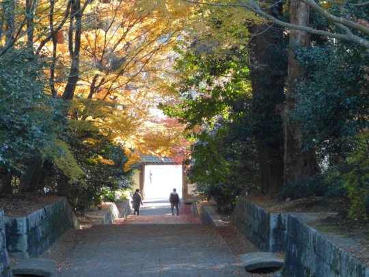 雲興寺