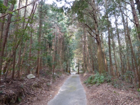 画像6