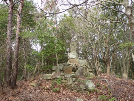 画像9
