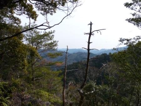 画像17