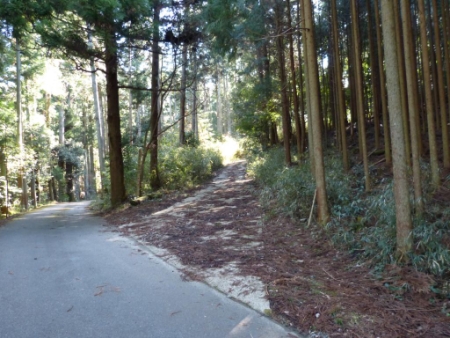 中金登山口