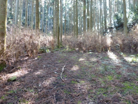 画像4