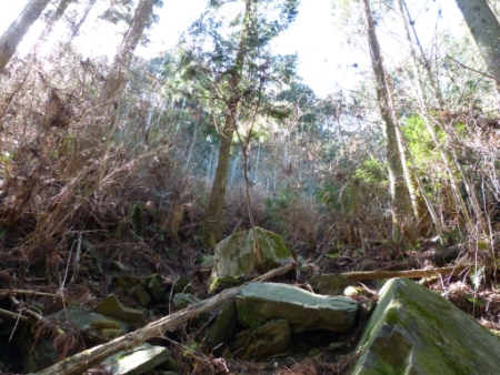 画像5