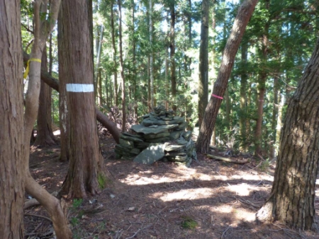 画像9