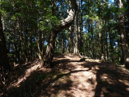 大日山最高点