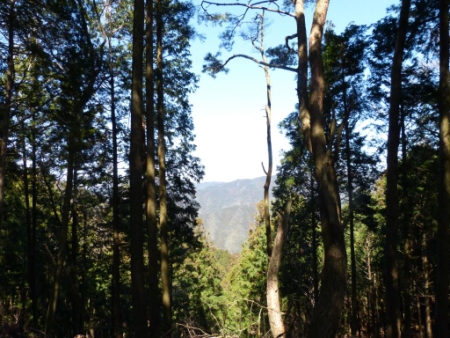 画像12