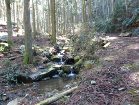 画像16