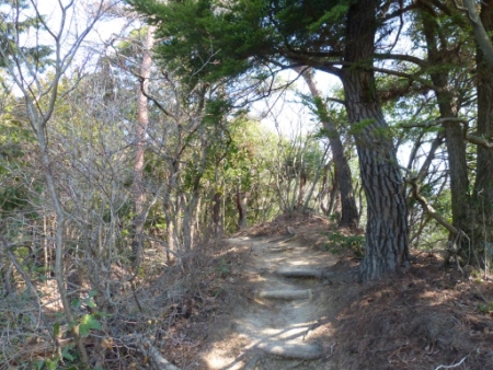 画像11