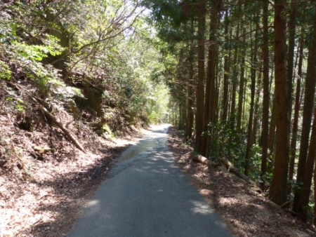 画像31