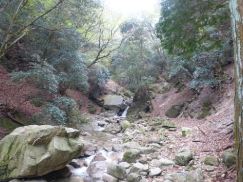 画像6