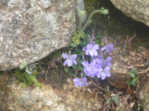 画像15