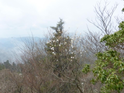 画像25