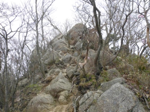 画像27