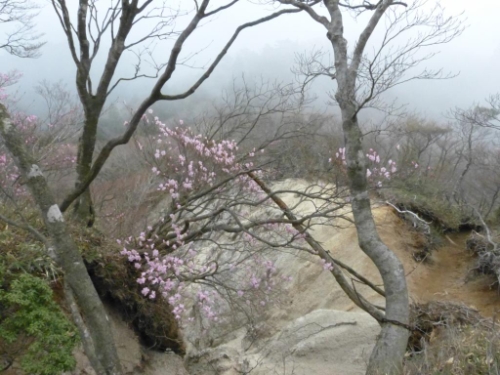 画像28
