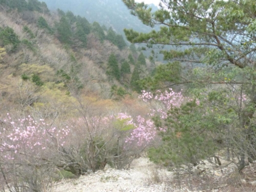 画像31