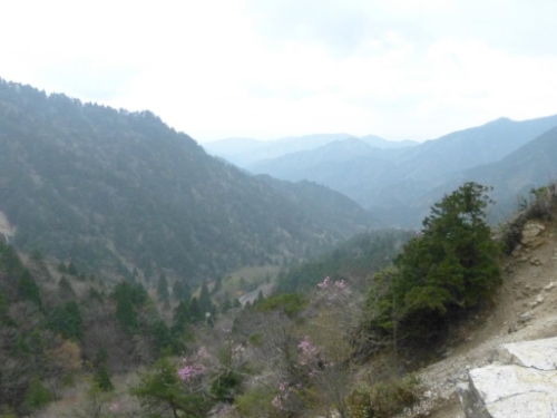 画像32