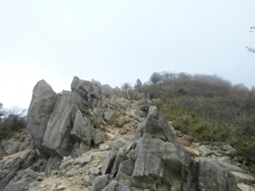 画像37