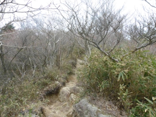画像38