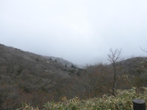 画像39
