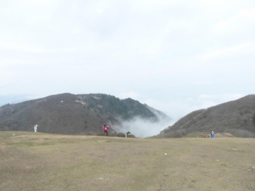 画像42