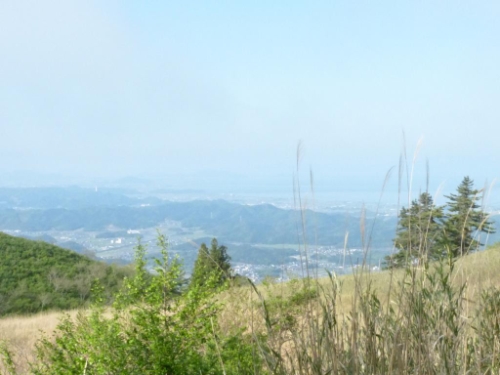 画像6