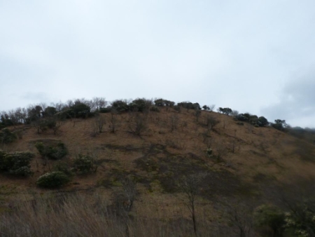 画像11