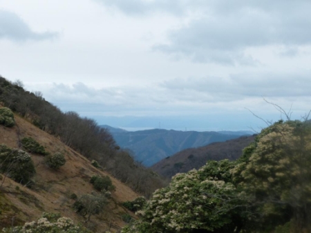 画像12