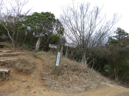画像15