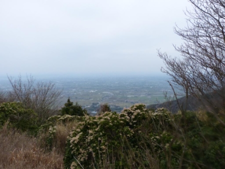 画像17