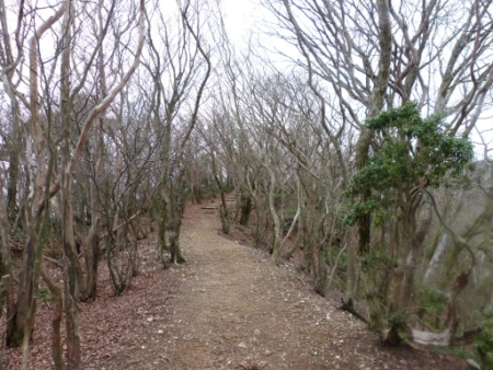 画像20