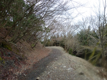 画像24