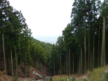 画像25