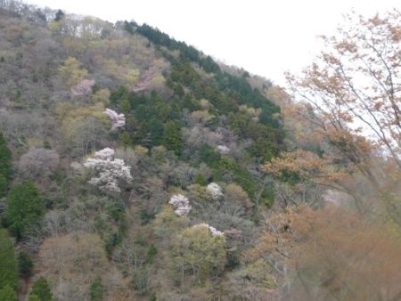 画像26