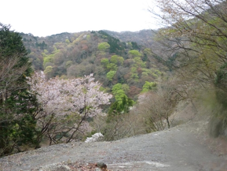 画像27