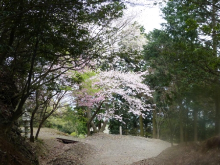 画像29