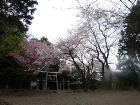 画像30